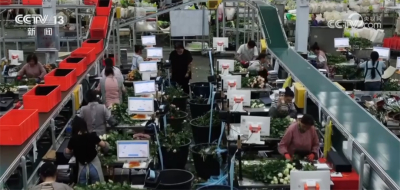 “数智赋能云花绽放”第九届南博会花卉产业高质量发展对接会圆满举办